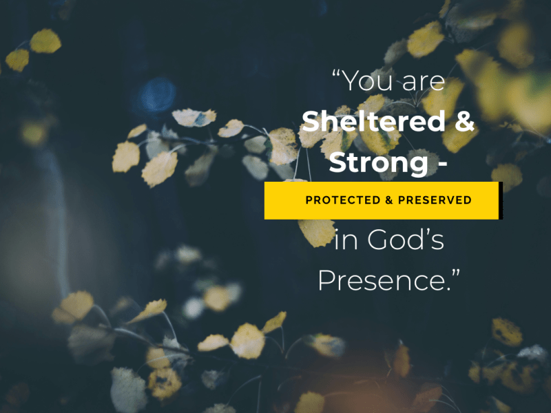 Sheltered and Strong: Owning Your Place in God’s&nbsp;Presence