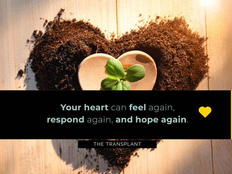 A New Heart for Love — When God Plants the&nbsp;Seed