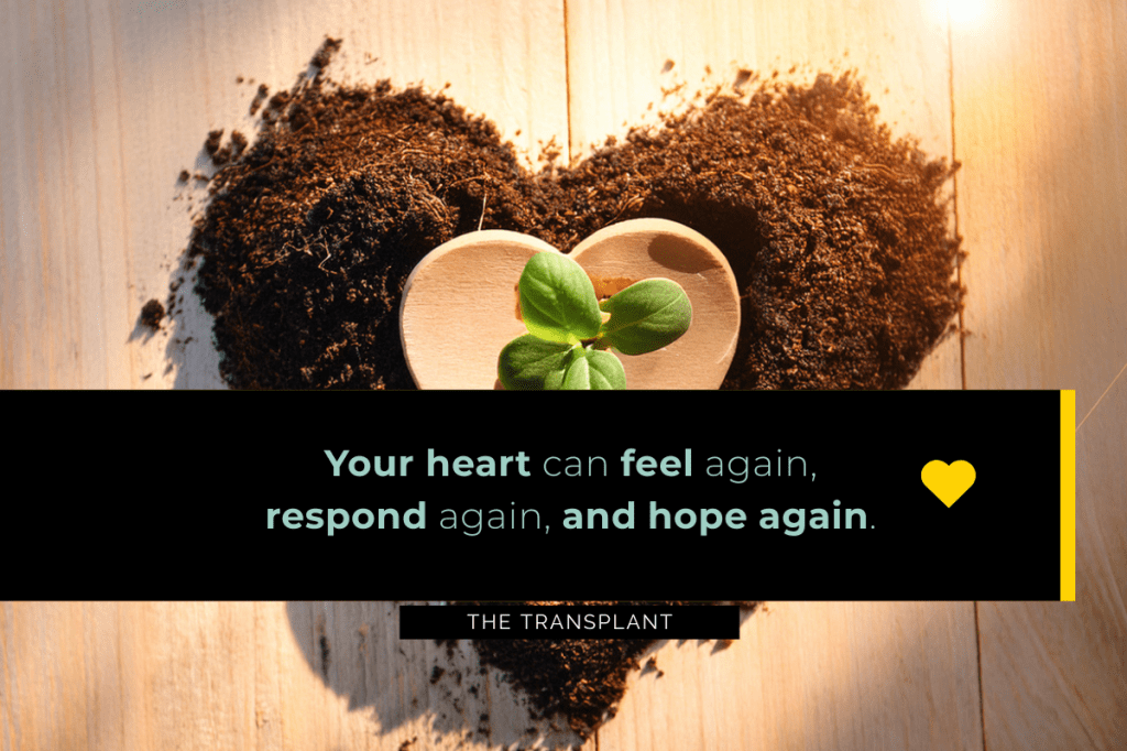 Quote: Your heart can feel again, respond again, and hope again. - The Transplant.