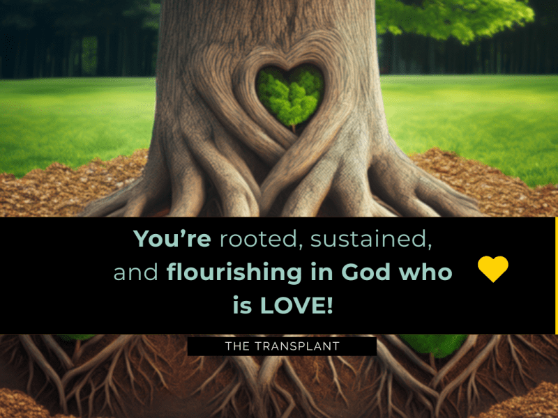 Planted to Flourish — A Love That Stays Through Every&nbsp;Season