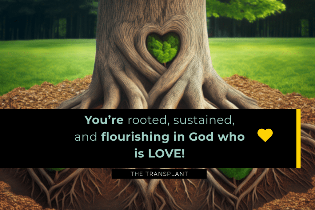Planted to Flourish — A Love That Stays Through Every&nbsp;Season