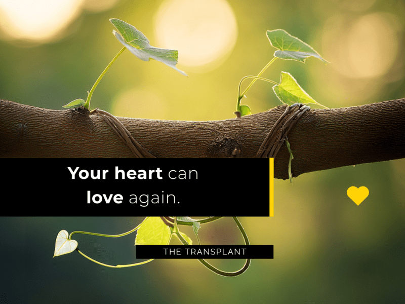 Stay Connected — The Branch That Learns to Love&nbsp;Again