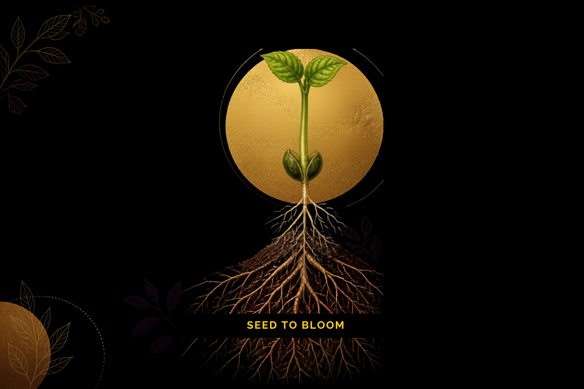 Seeds Begin in Hidden Places